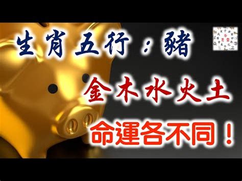 乙亥豬|【豬五行】屬豬五行解密：看懂生肖豬的五行屬性，助你趨吉避兇。